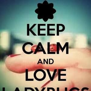 Meet your Posher, Judy